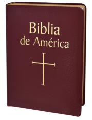 Biblia De America (Burgundy Imitation Leather) (Spanish)